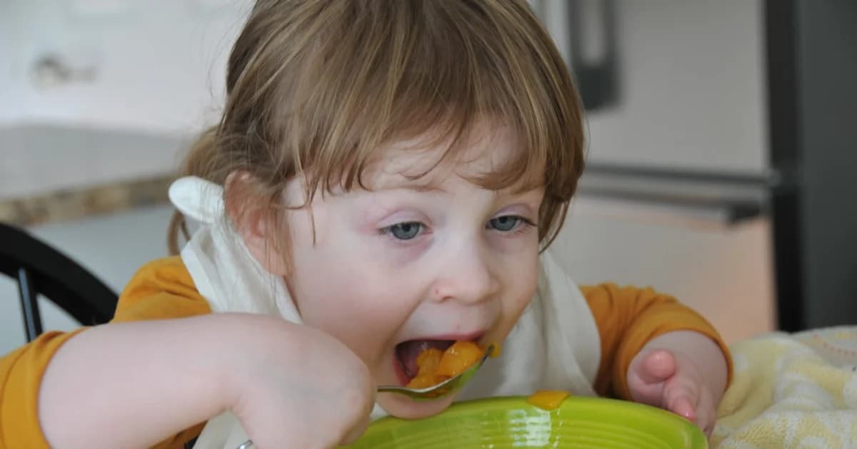 Toddler Stopped Eating: What's Normal and What's Not
